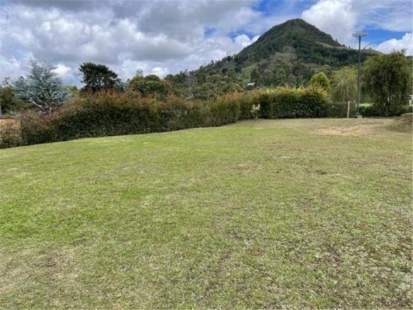 Lote en Montecapiro