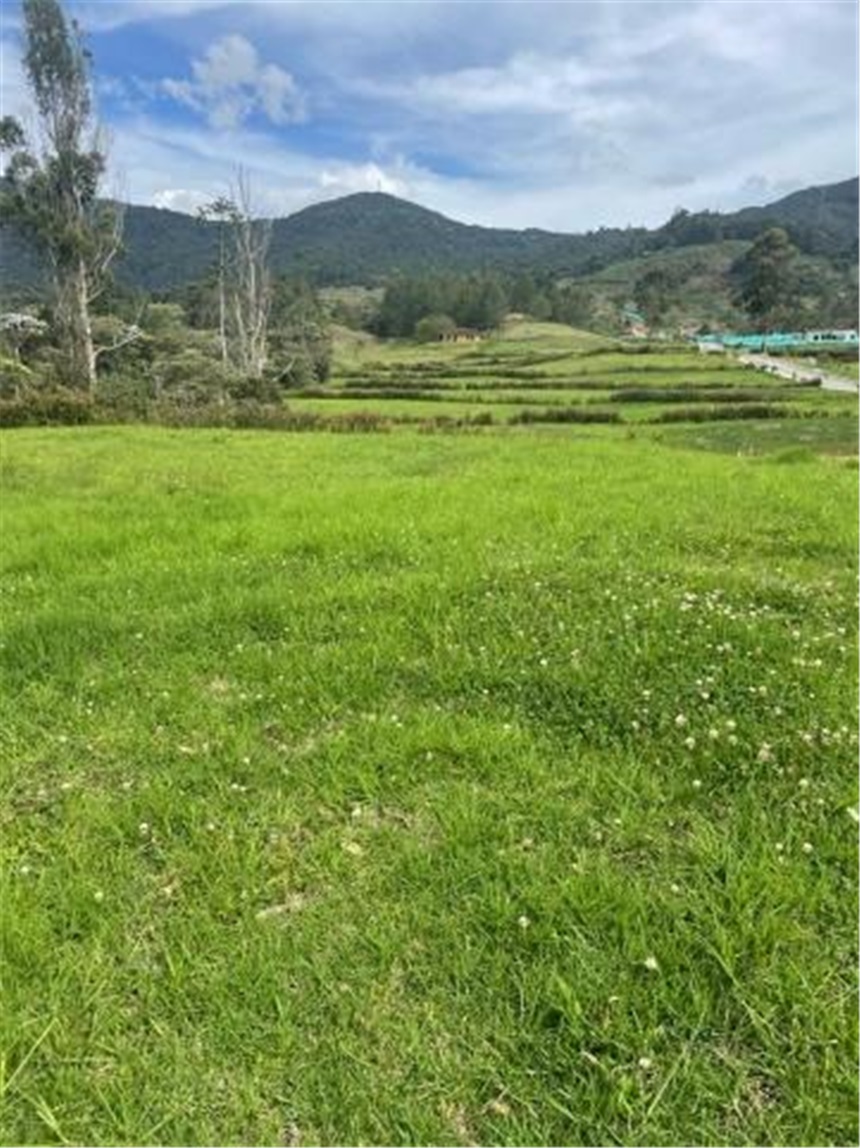 Lote en venta