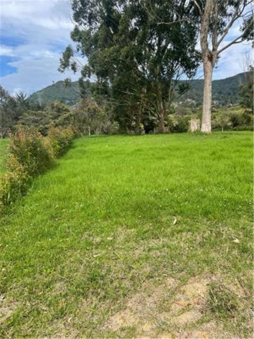 Lote en venta