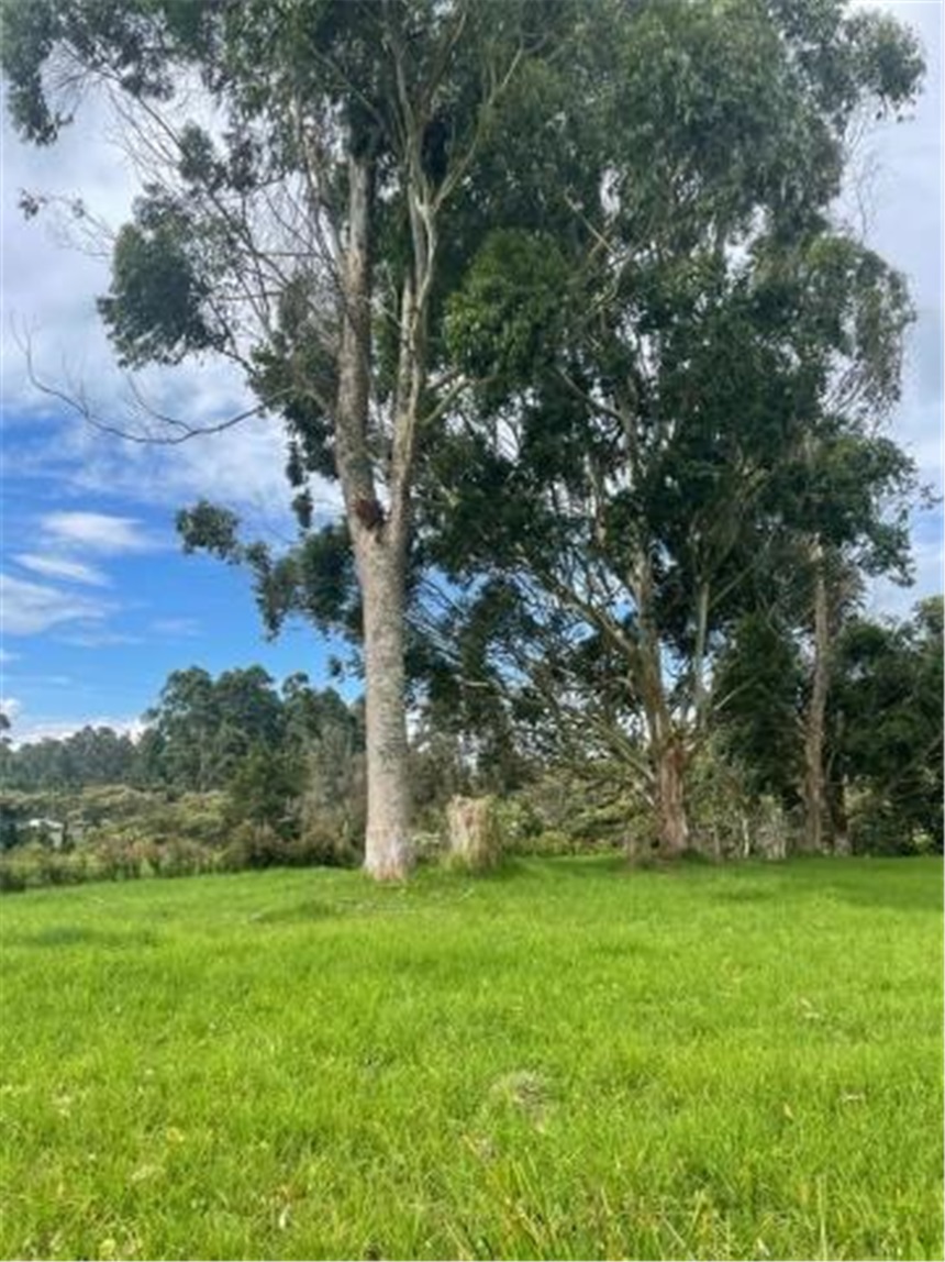 Lote en venta