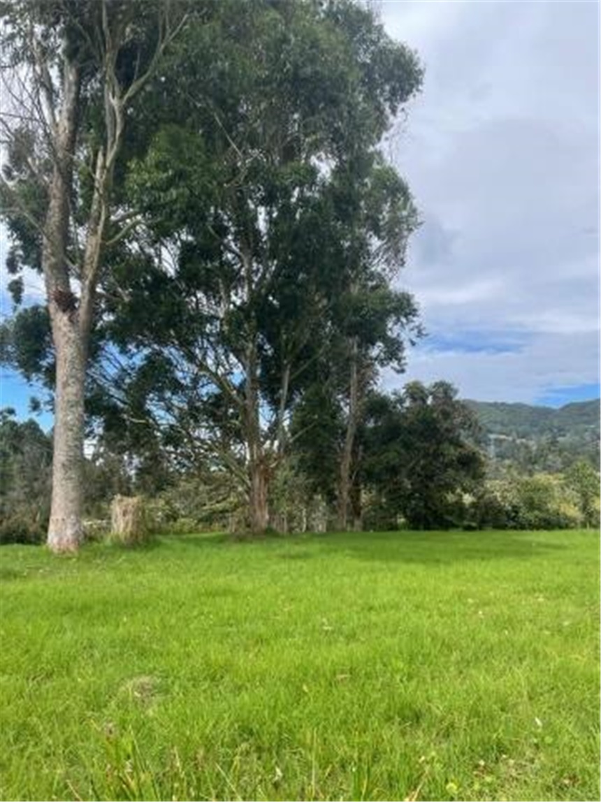 Lote en venta