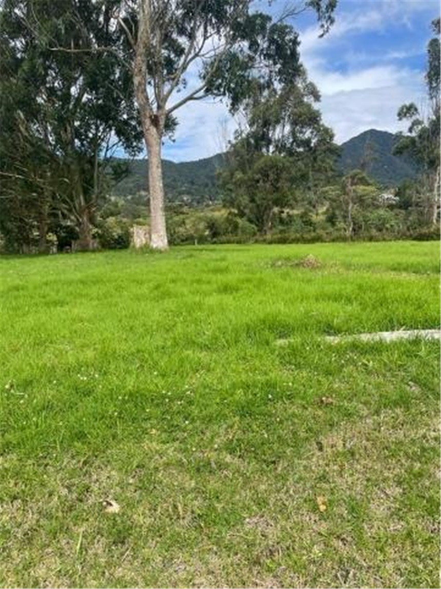 Lote en venta