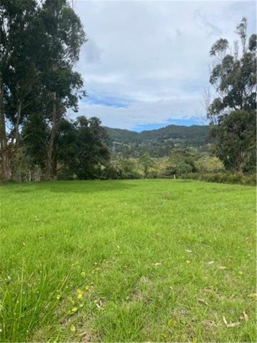 Lote en venta