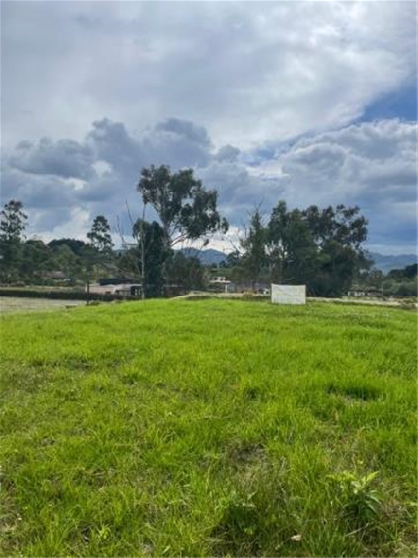 Lote en venta
