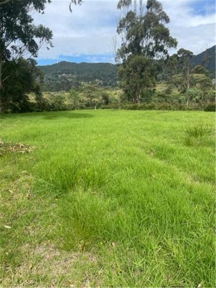 Lote en venta