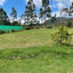 Lote en La Ceja