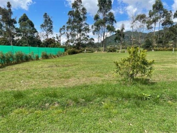 Lote en La Ceja
