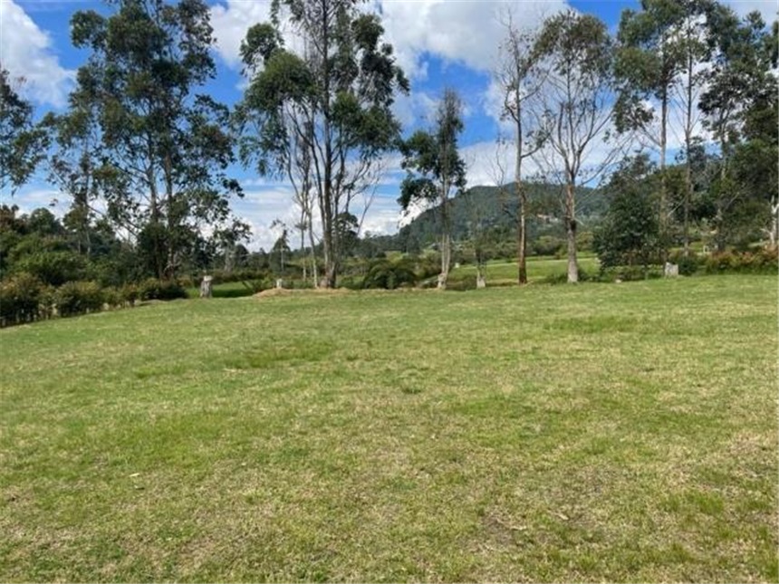 Lote en La Ceja
