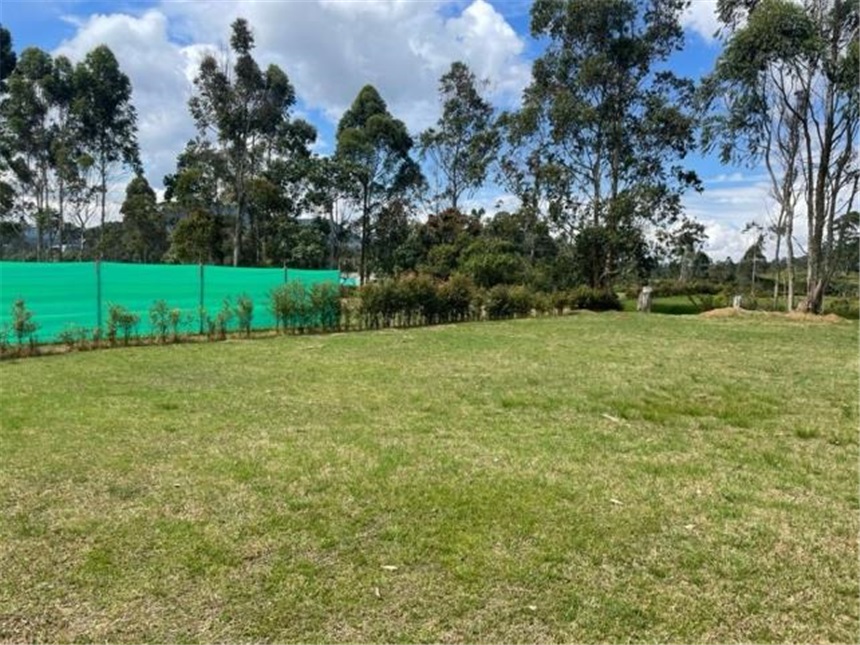 Lote en La Ceja