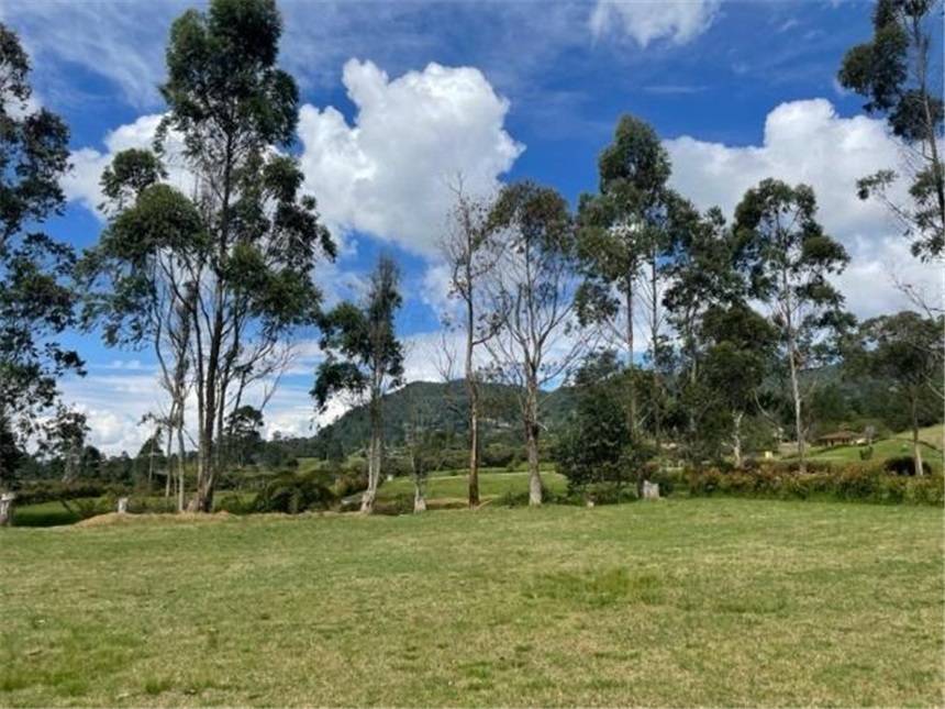 Lote en La Ceja