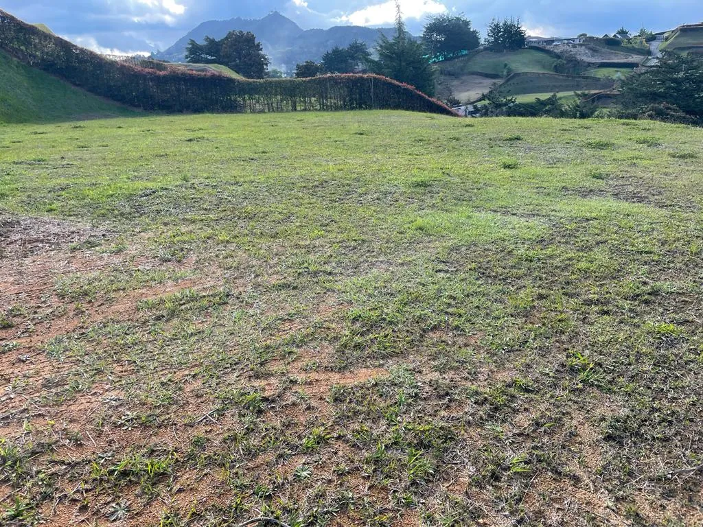 Lote en El Carmen