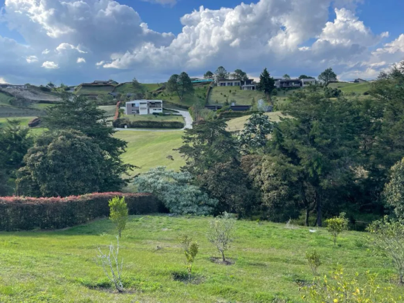Lote en El Carmen