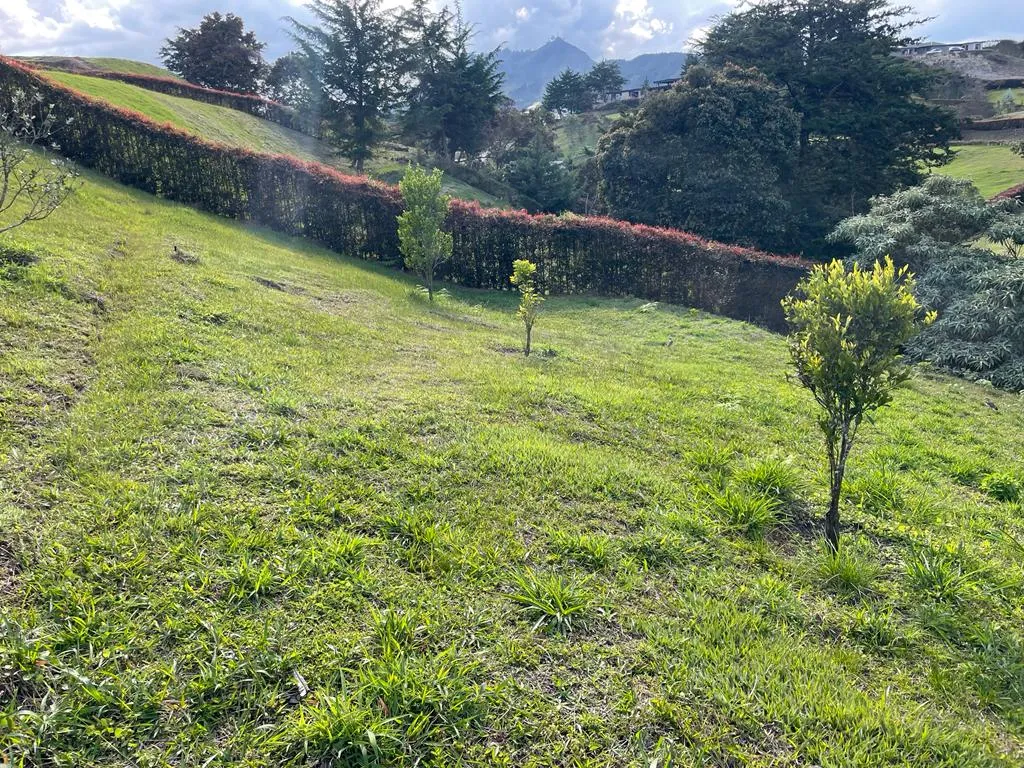 Lote en El Carmen