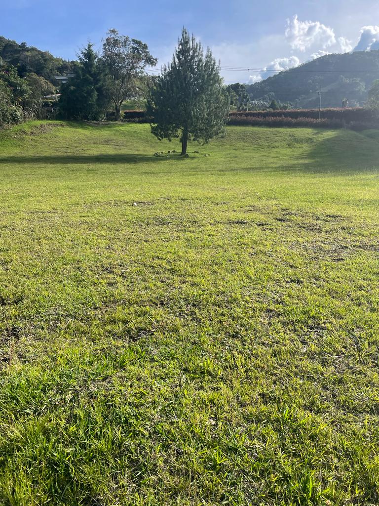 Lote en vía La Ceja