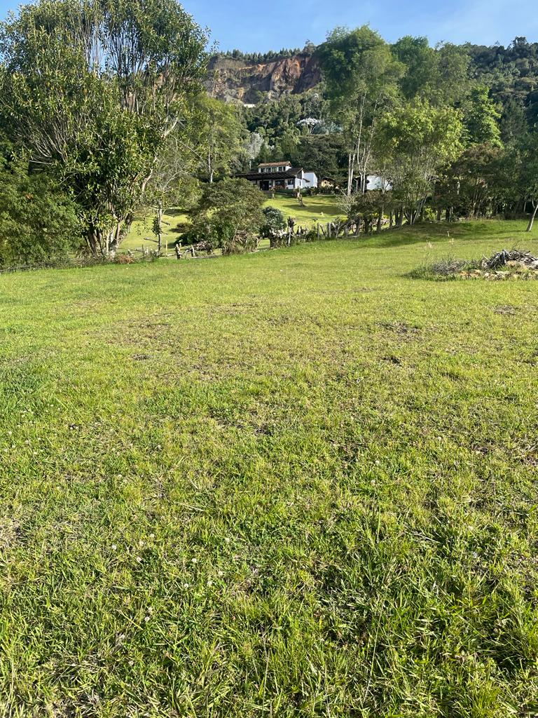 Lote en vía La Ceja