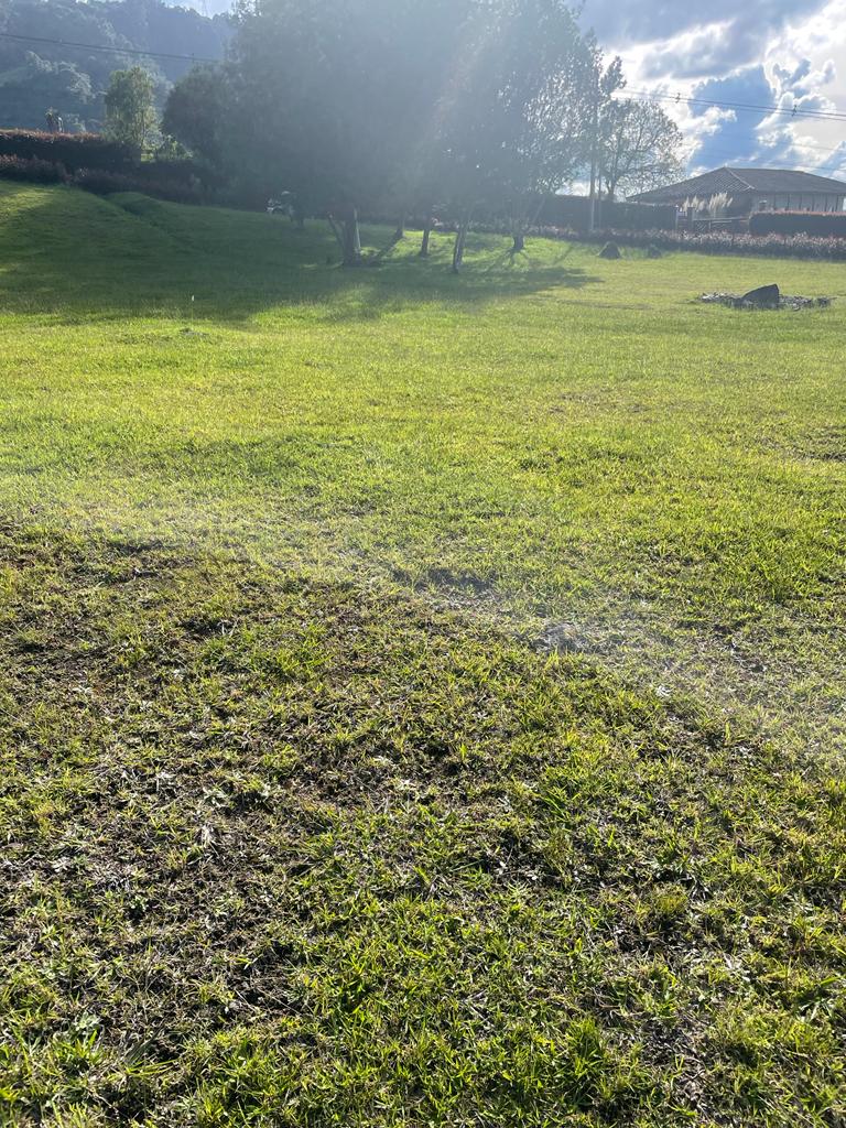 Lote en vía La Ceja
