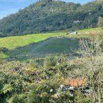 Lote en vía La Ceja