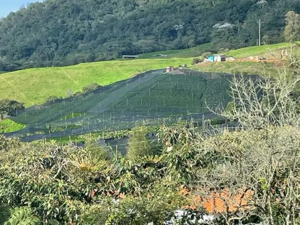 Lote en vía La Ceja