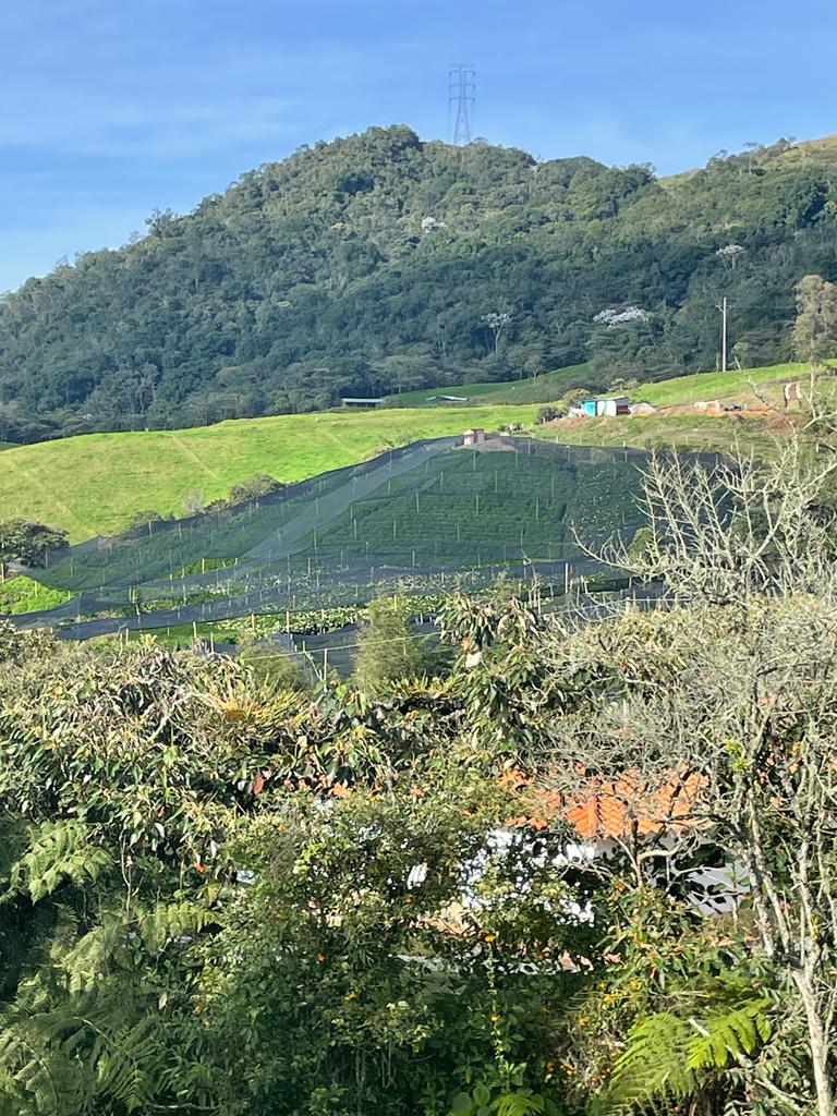 Lote en vía La Ceja