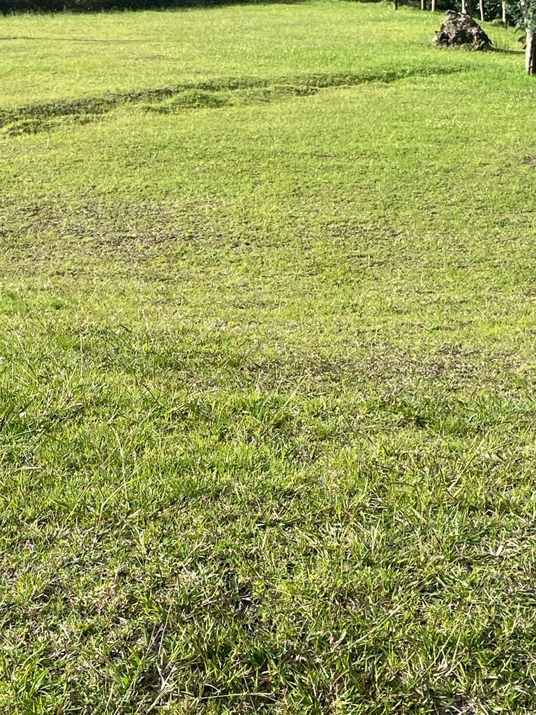 Lote en vía La Ceja