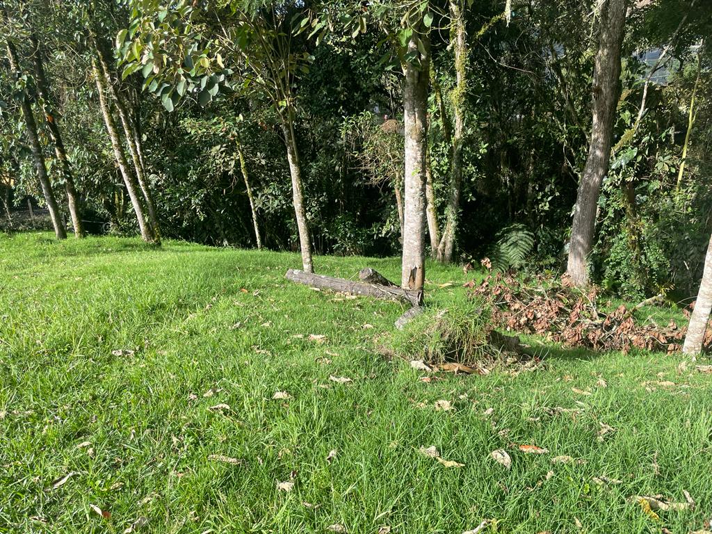 Lote en vía La Ceja