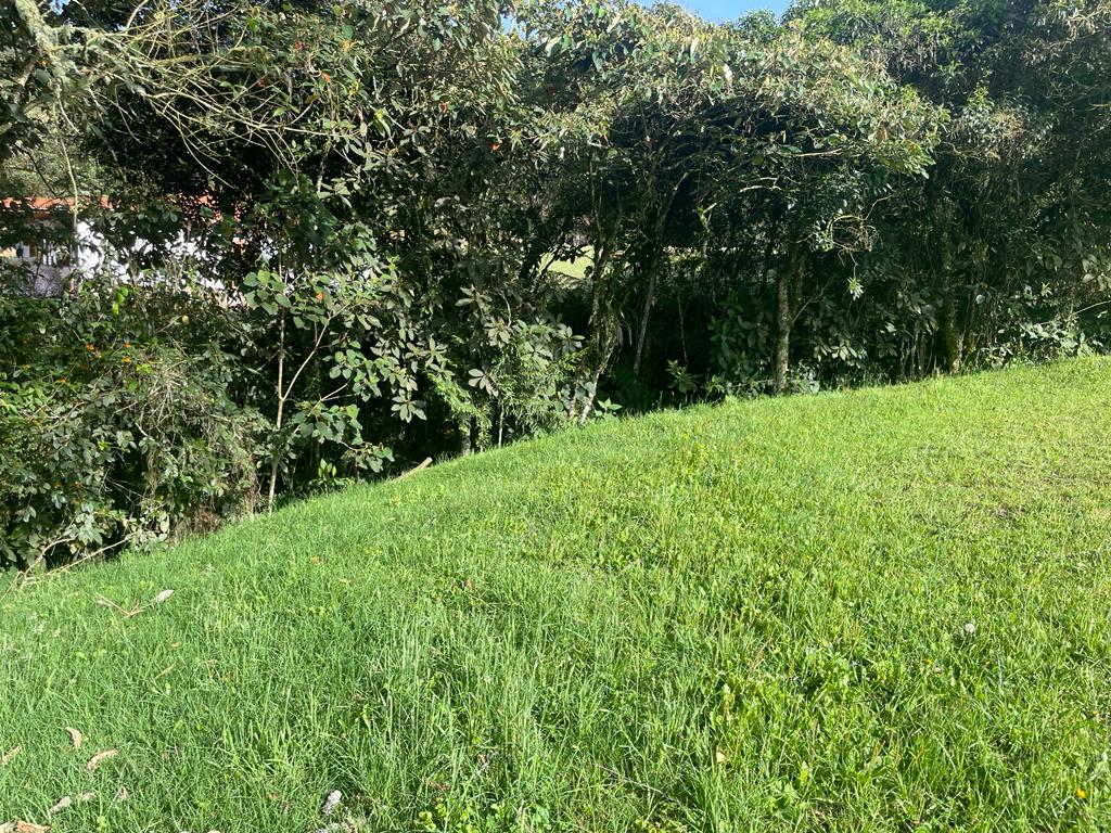 Lote en vía La Ceja