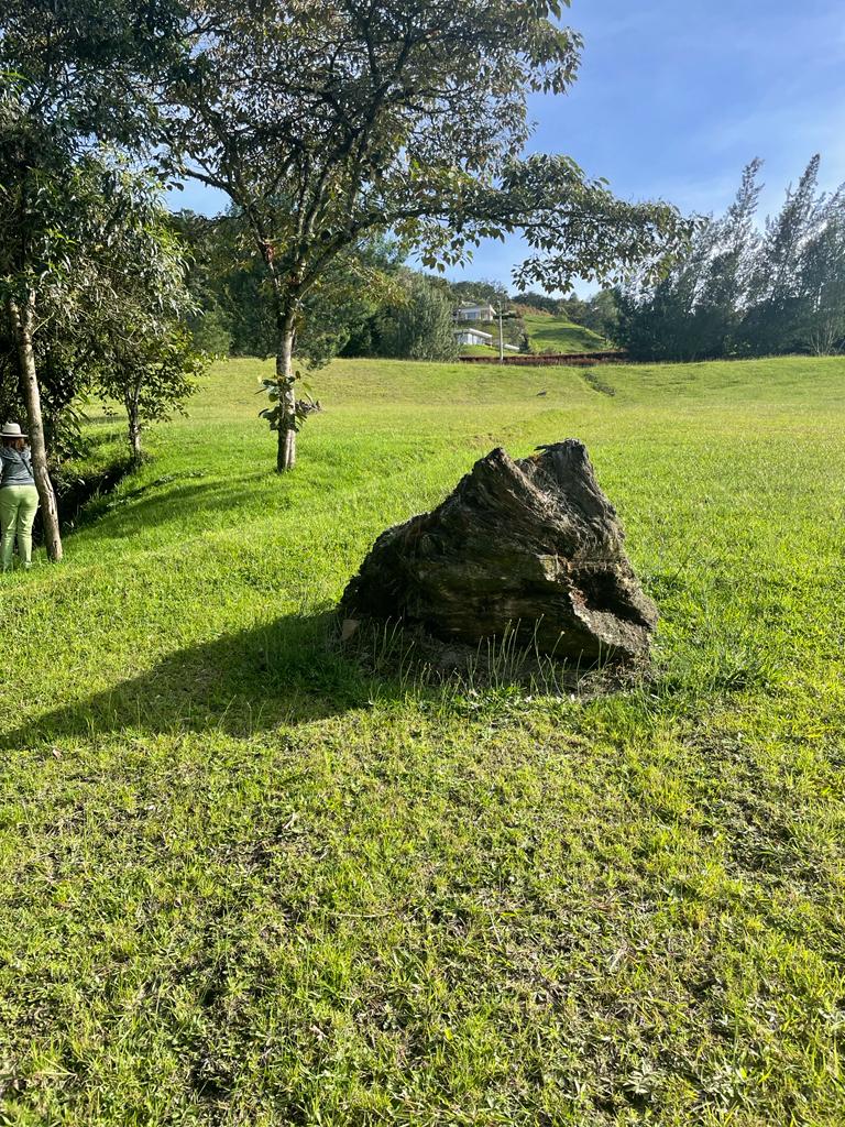 Lote en vía La Ceja