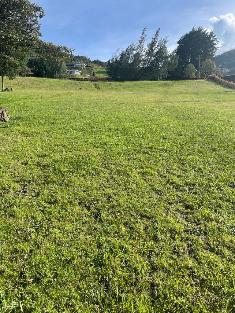 Lote en vía La Ceja