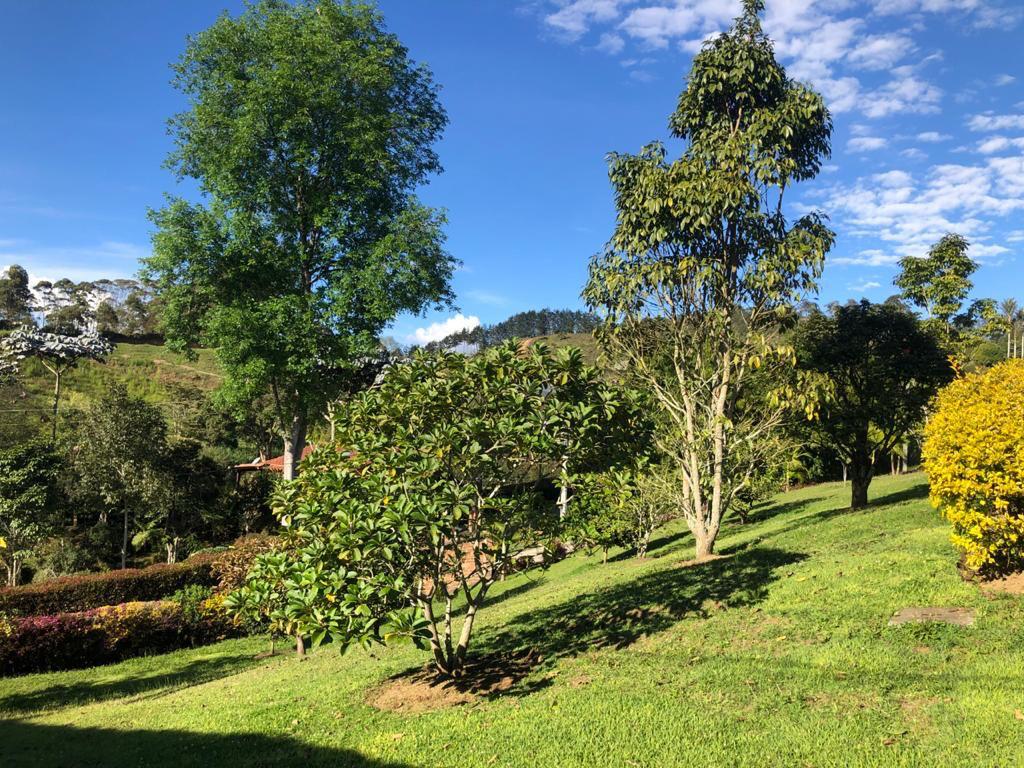 Finca en Don Diego