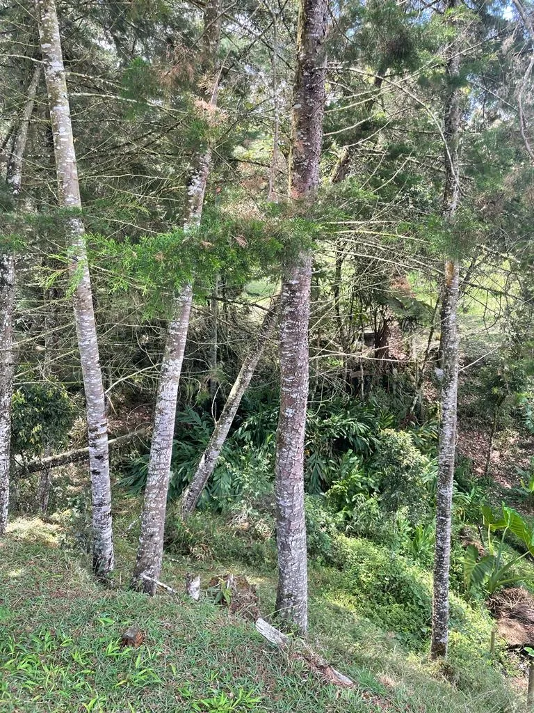 Lote en La Ceja / El Canadá
