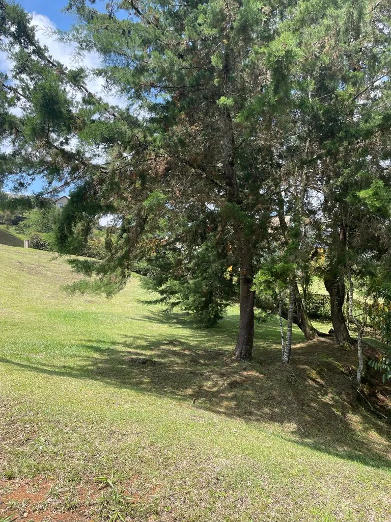 Lote en La Ceja / El Canadá