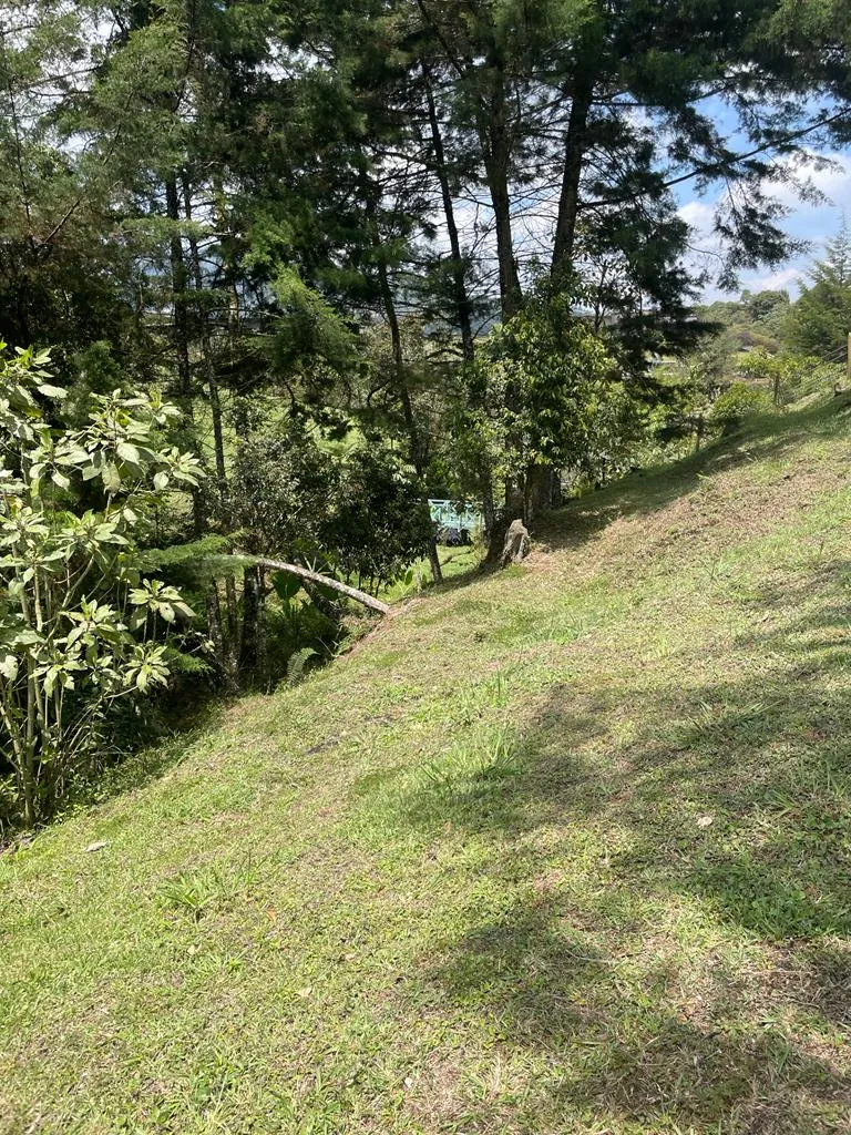 Lote en La Ceja / El Canadá