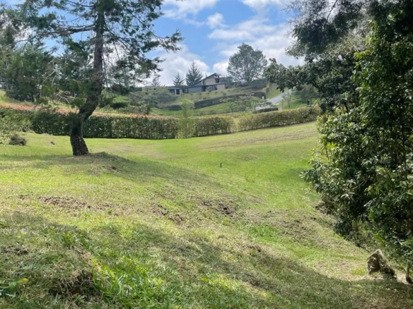 Lote en La Ceja / El Canadá