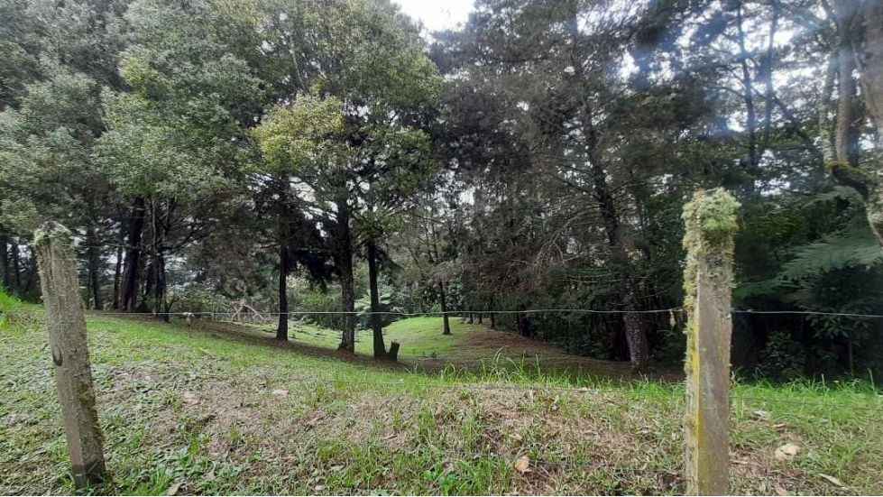 Finca en Venta, Sector Pontezuela-Vereda El Higueron, Rionegro, Antioquia
