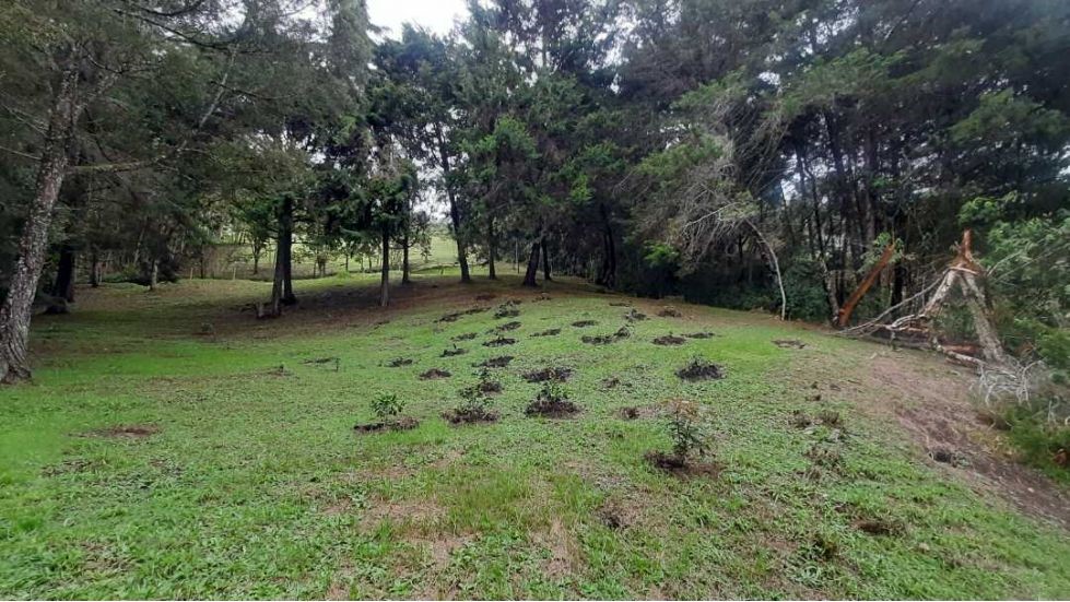 Finca en Venta, Sector Pontezuela-Vereda El Higueron, Rionegro, Antioquia