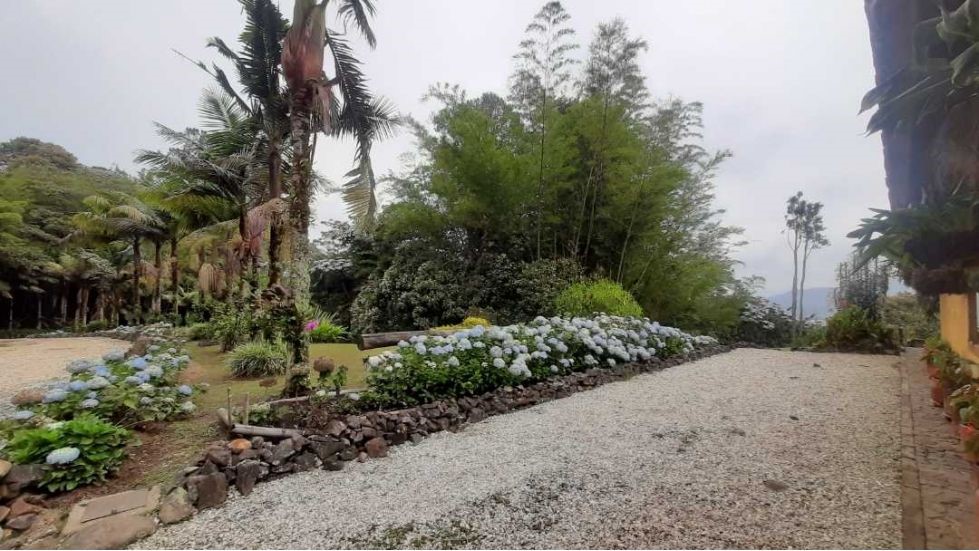 Finca en Venta, Sector Pontezuela-Vereda El Higueron, Rionegro, Antioquia