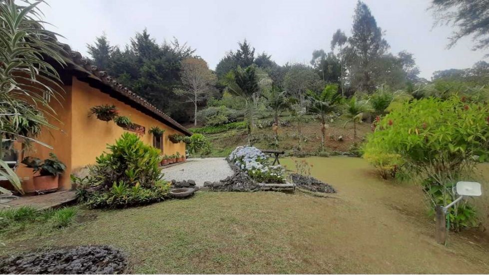 Finca en Venta, Sector Pontezuela-Vereda El Higueron, Rionegro, Antioquia