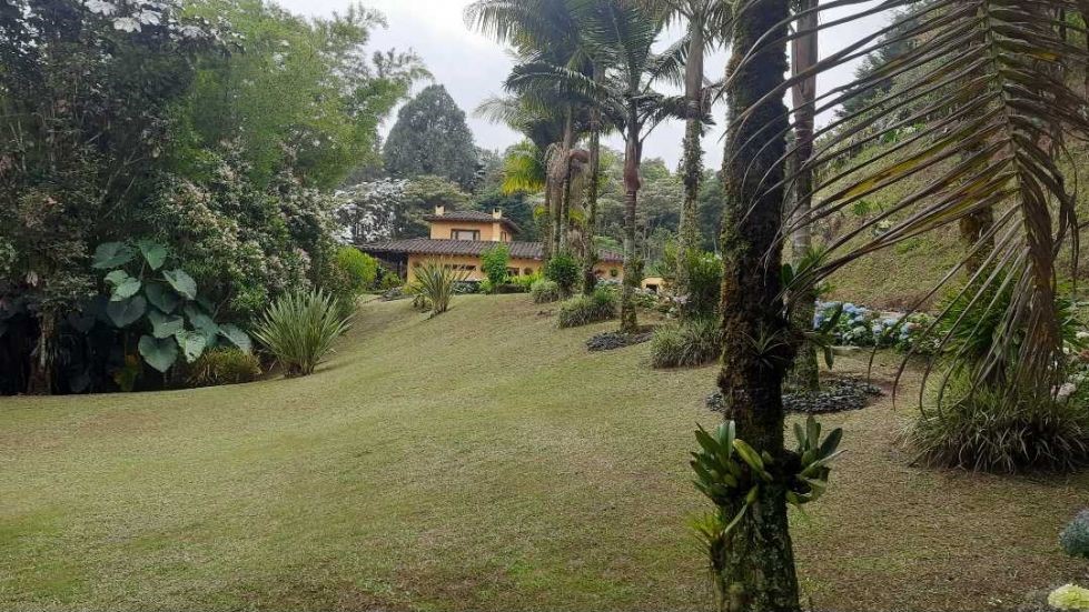 Finca en Venta, Sector Pontezuela-Vereda El Higueron, Rionegro, Antioquia