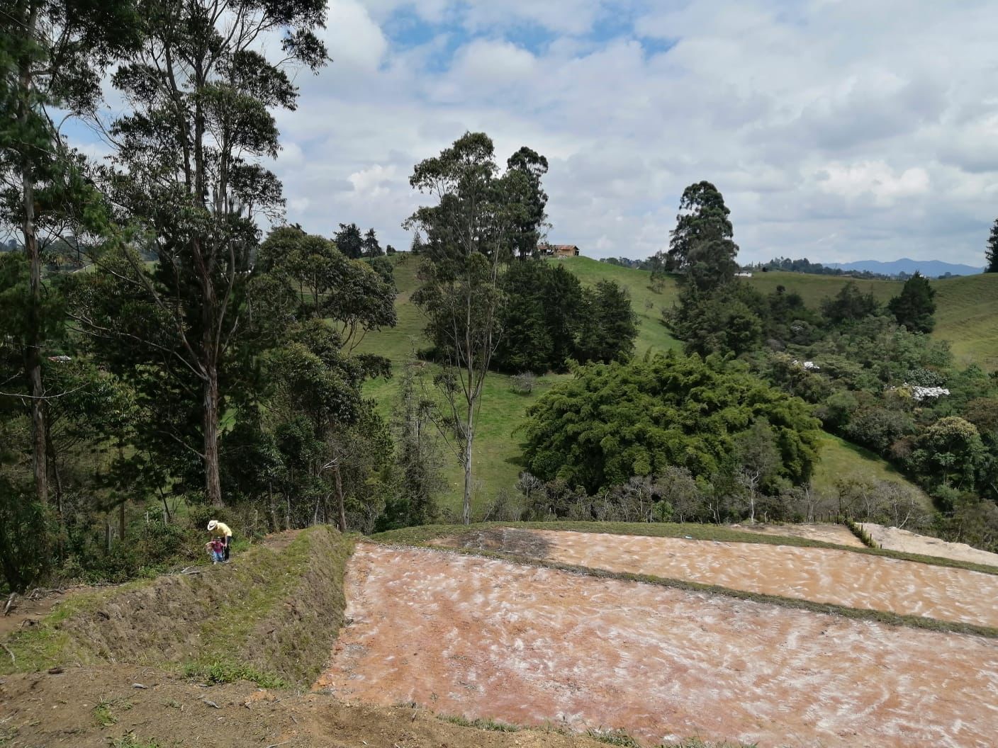 Lote En el carmen de viboral