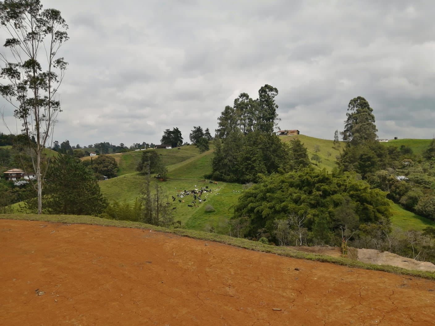 Lote En el carmen de viboral