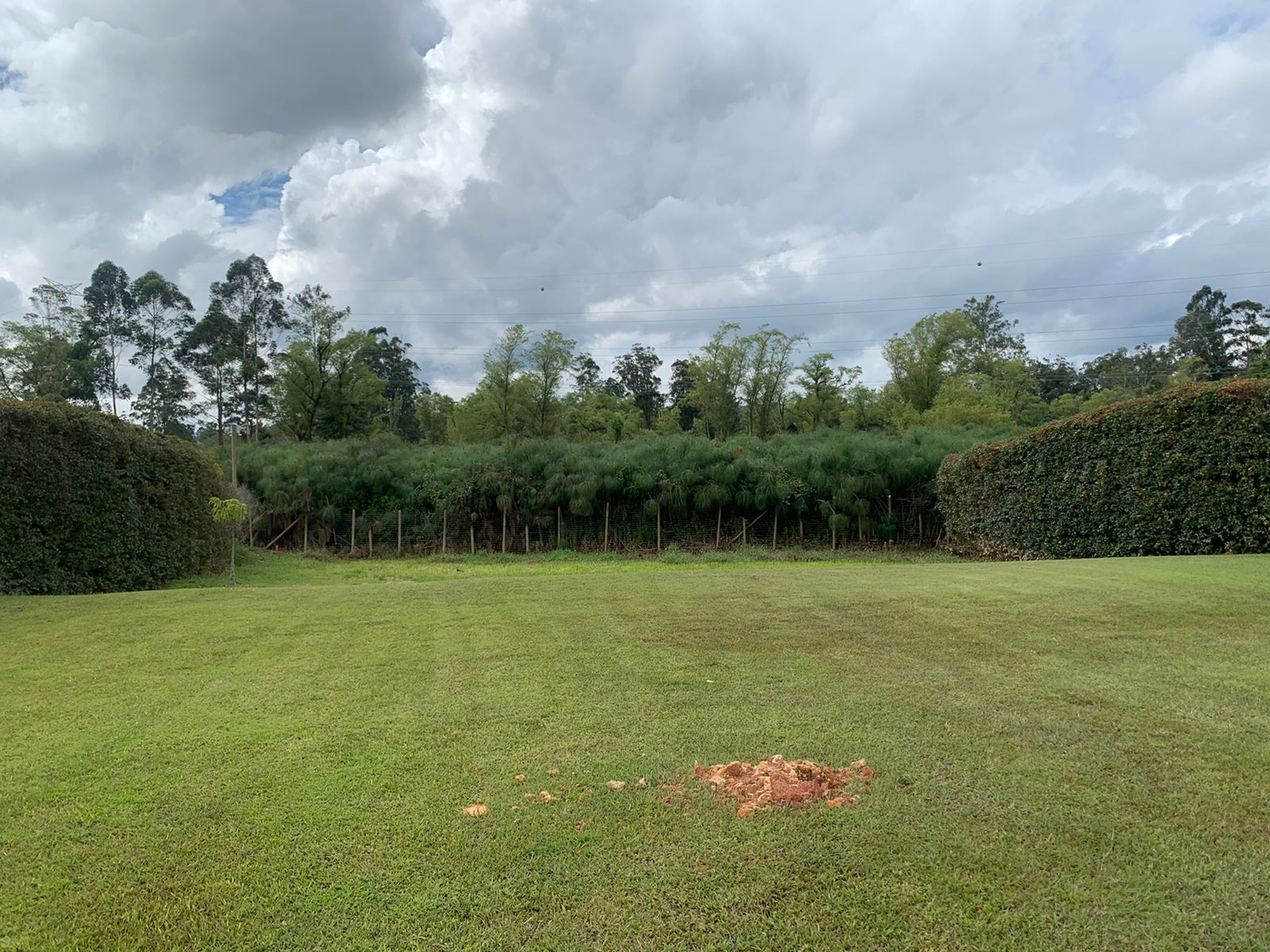 Lote en Saint Regis / Llanogrande