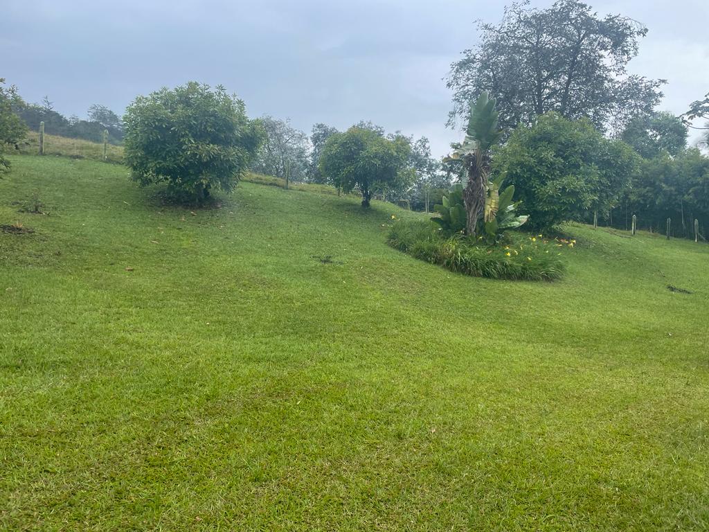 Lote en vereda San Nicolás La Ceja