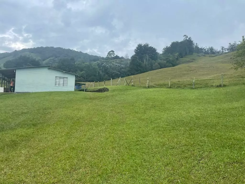 Lote en vereda San Nicolás La Ceja