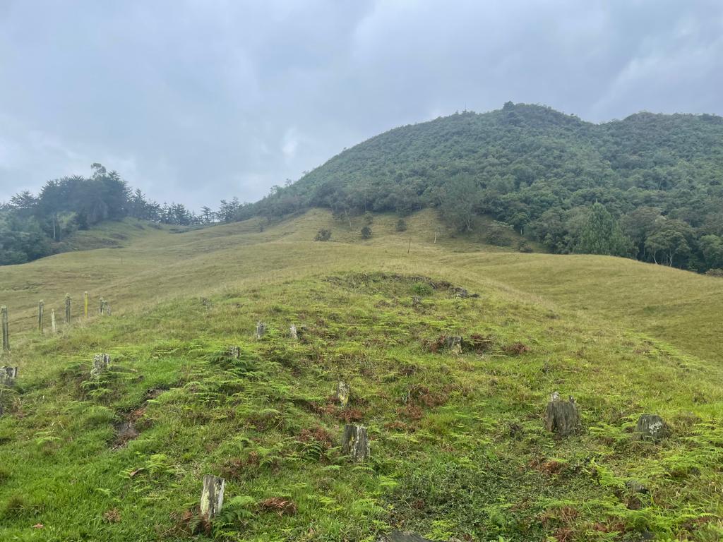 Lote en vereda San Nicolás La Ceja