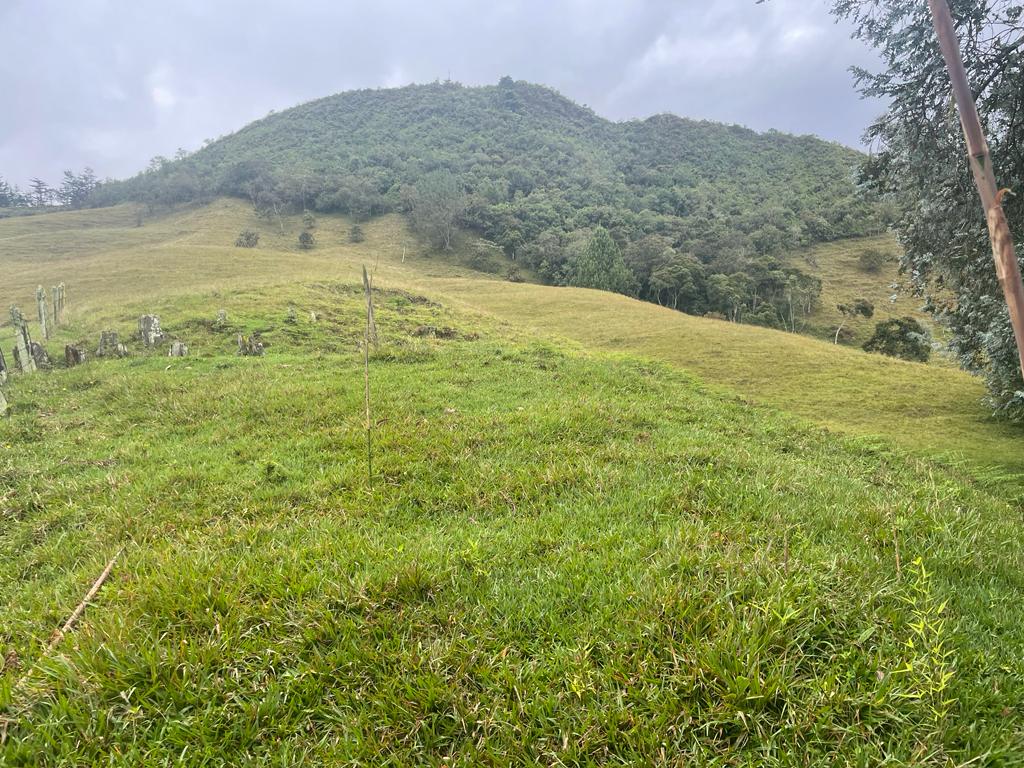 Lote en vereda San Nicolás La Ceja