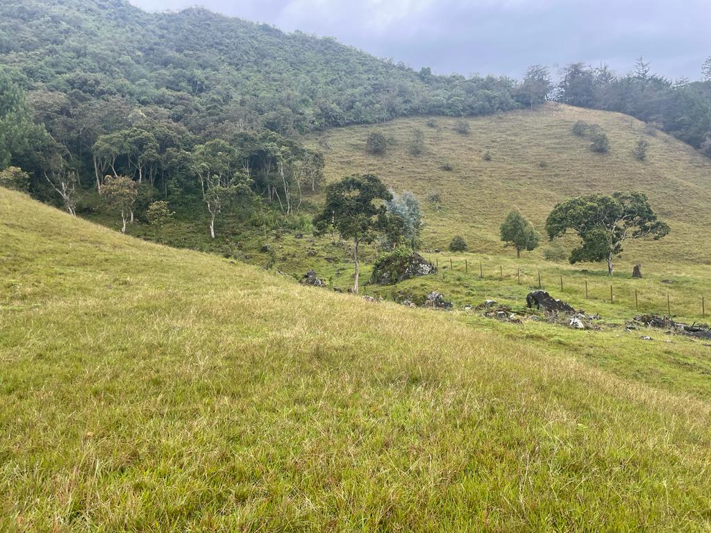 Lote en vereda San Nicolás La Ceja