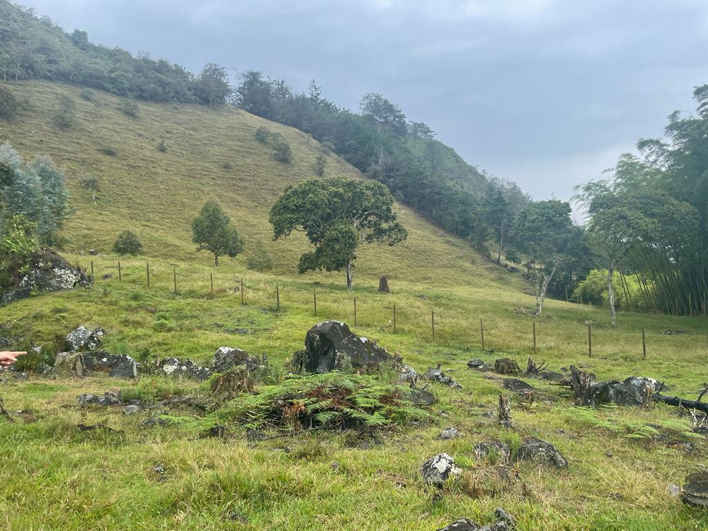 Lote en vereda San Nicolás La Ceja