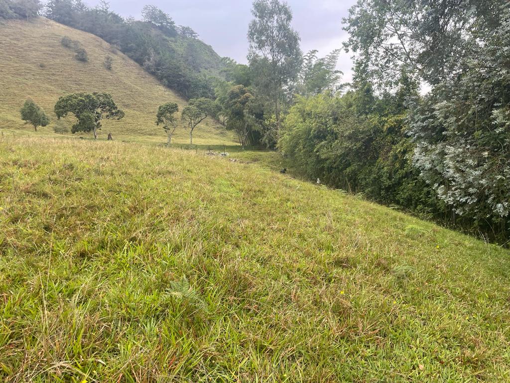 Lote en vereda San Nicolás La Ceja