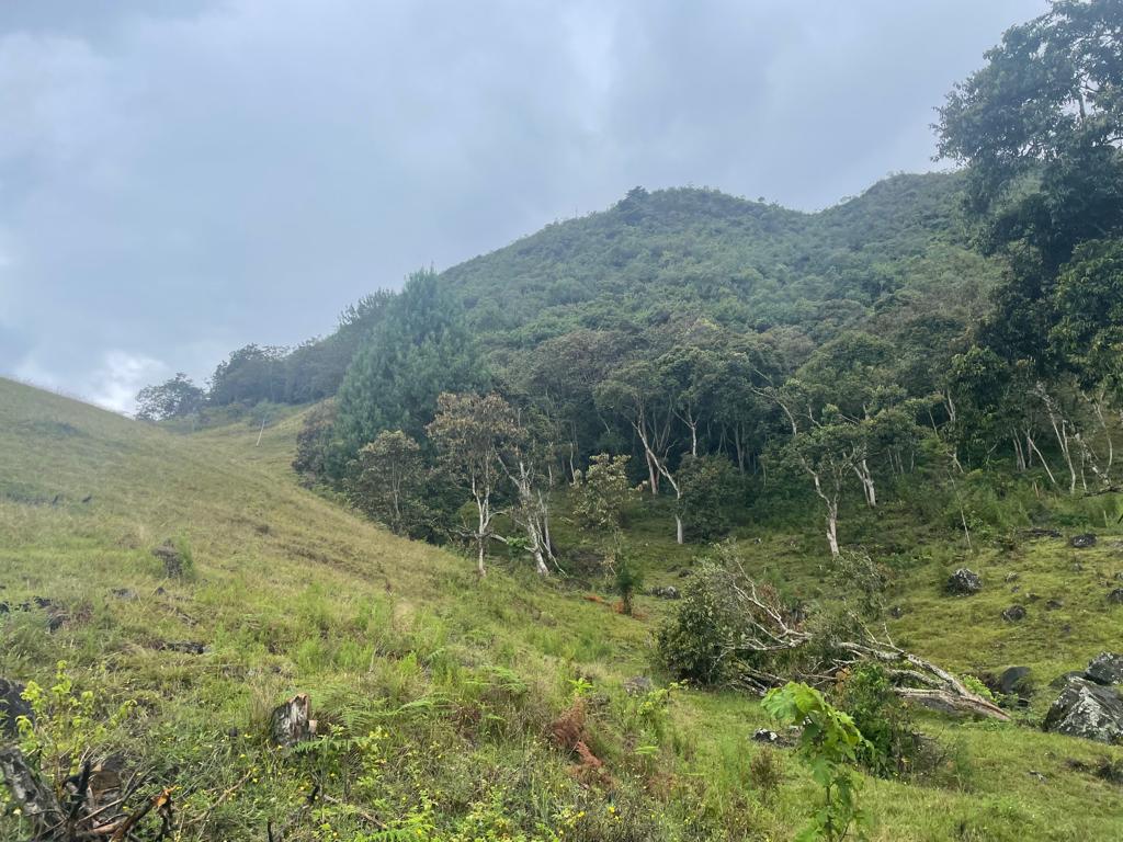 Lote en vereda San Nicolás La Ceja