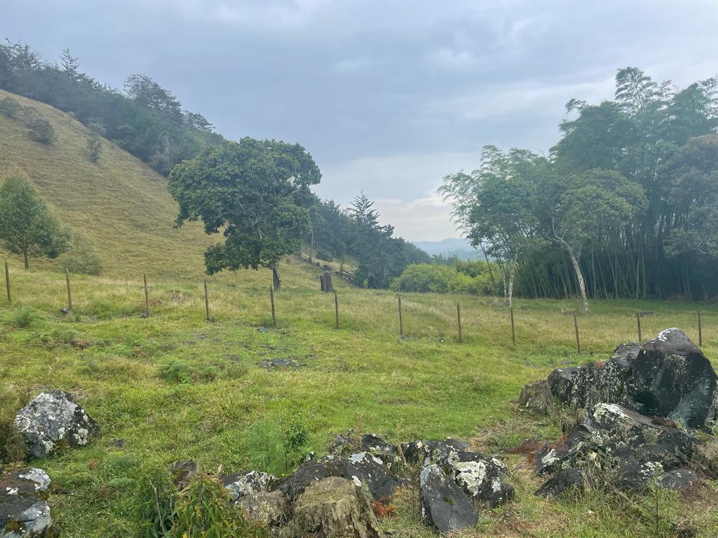 Lote en vereda San Nicolás La Ceja